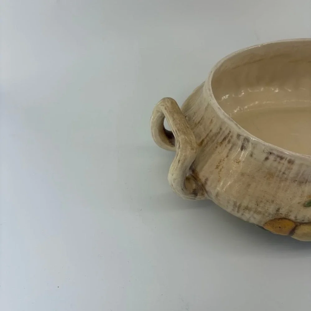 Vtg 1970s Arnel's Mushroom‎ Soup Tureen/ Dish Retro Cottagecore MCM Decor